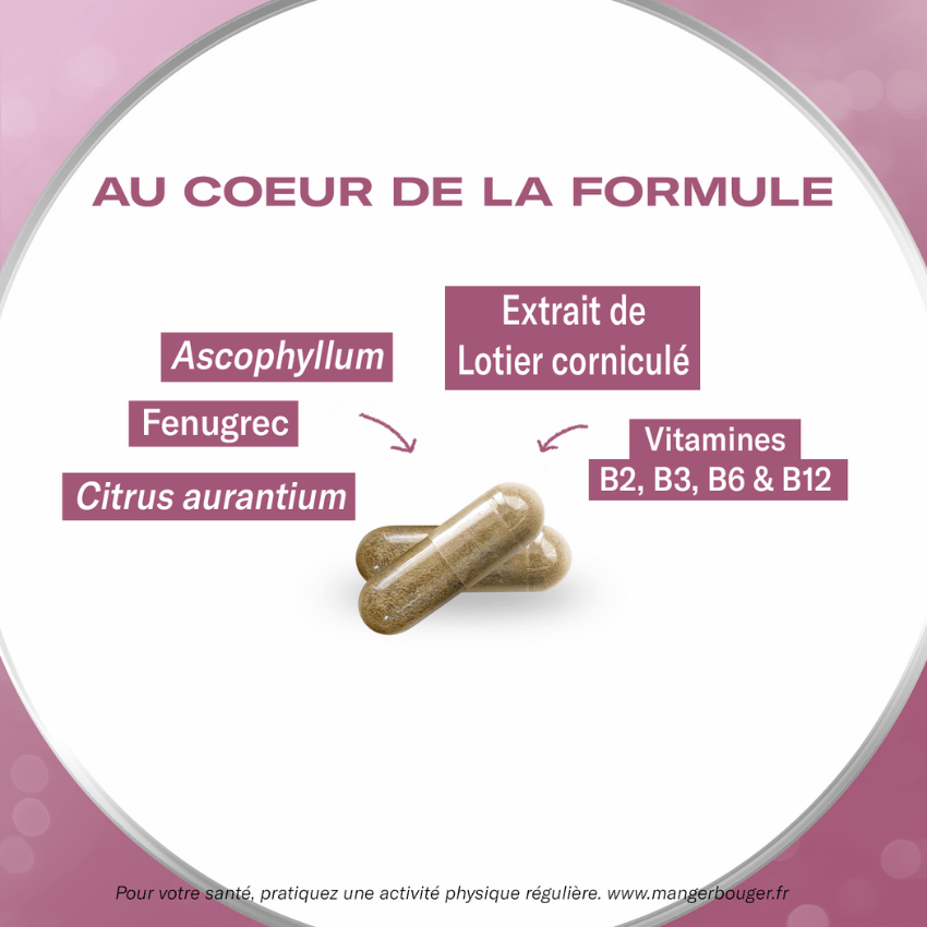 Fiche produit - Oenobiol Microbioslim - formule fenugrec